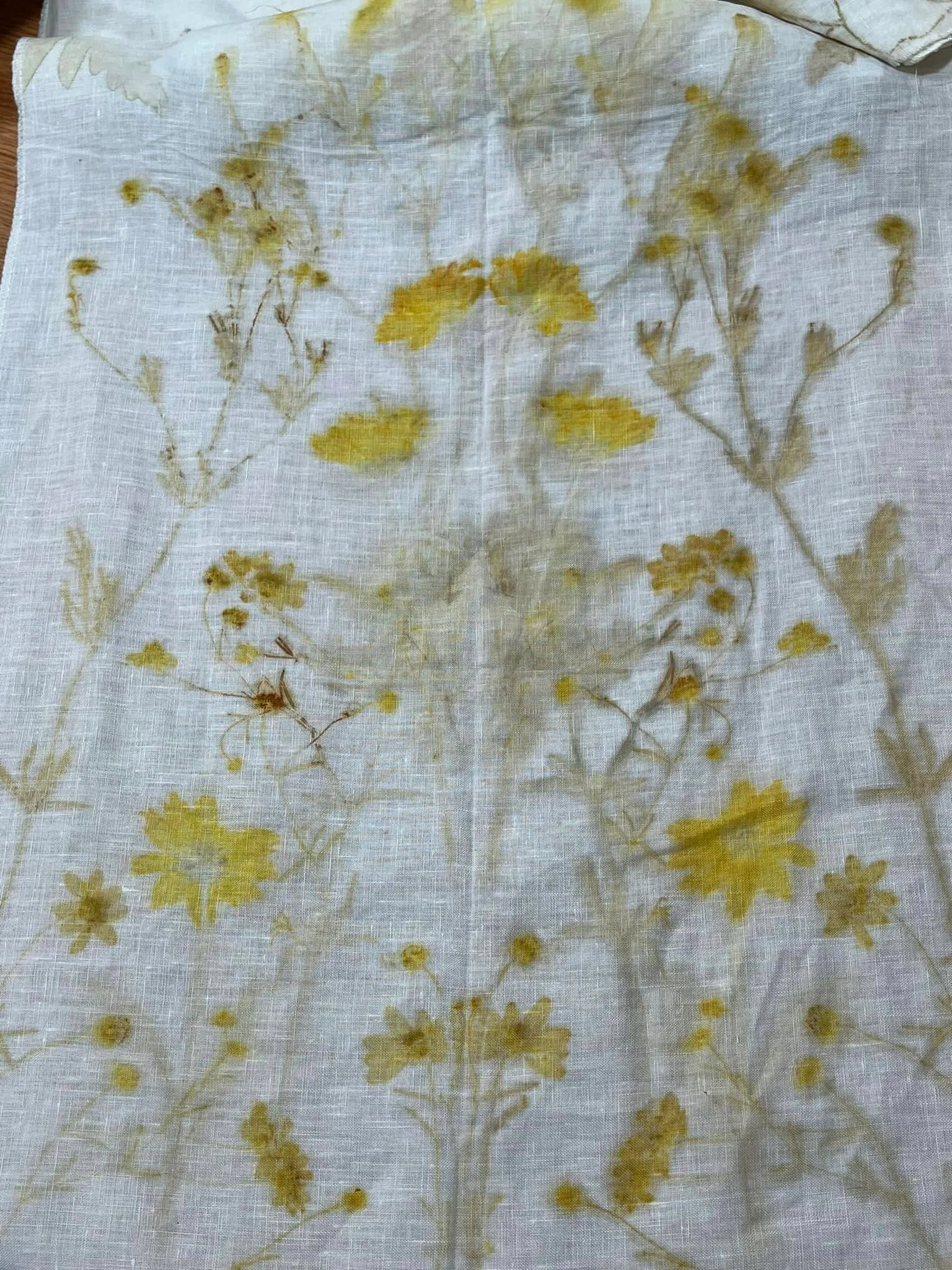 Hollyhock and marigold, photo 2