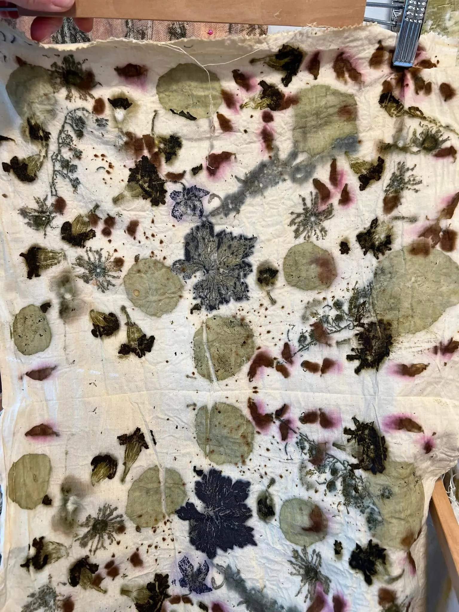 Oak leaves and wildflowers, photo 2